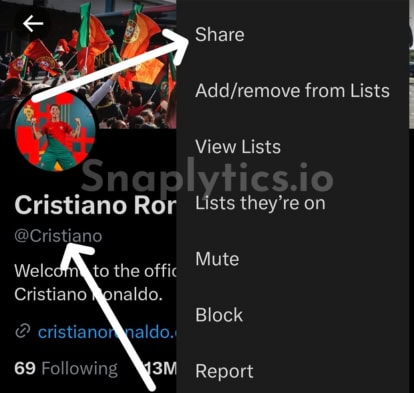 Step 1: Copy Username/ID