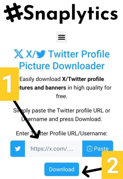 Step 2: Paste the Username