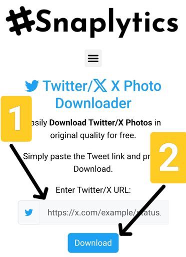 Step 2: Paste the link
