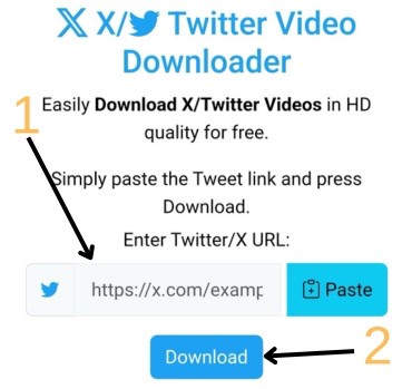Step 2: Paste the link