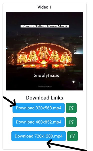 Step 3: Download the Video